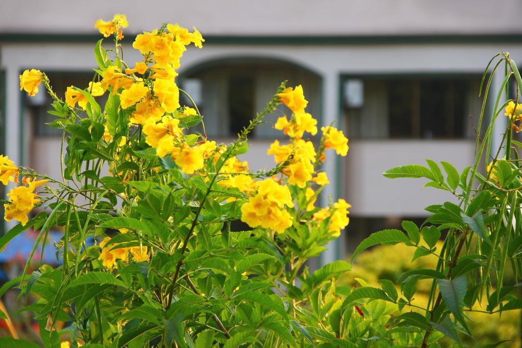 Aveda Blue Country Resort Panchgani Exterior foto
